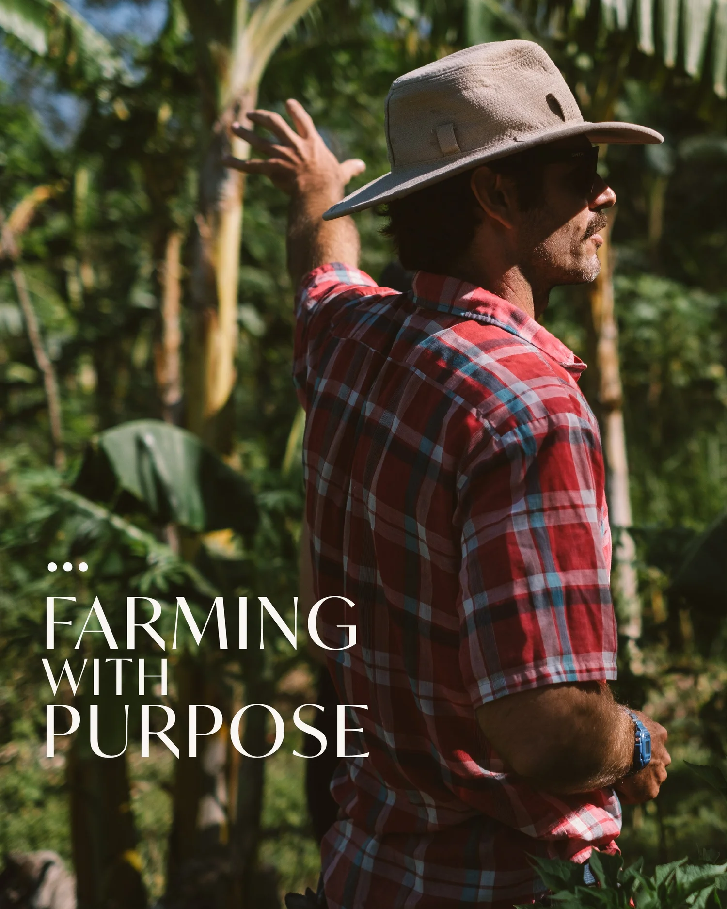 Farmer in a wide-brimmed hat among banana plants at Finca La Esperanza