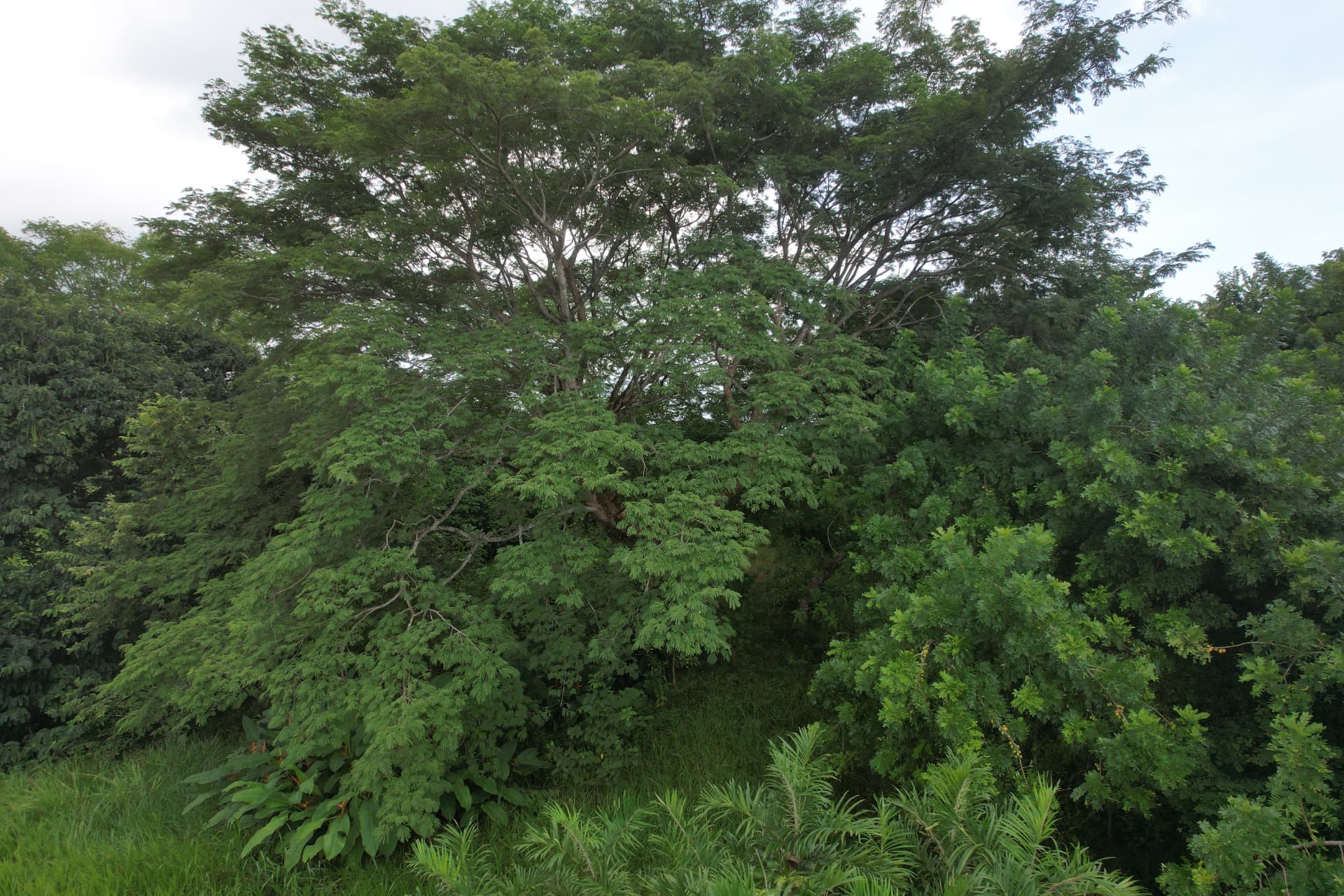 Homesite 2 at Shift Esperanza in Nosara
