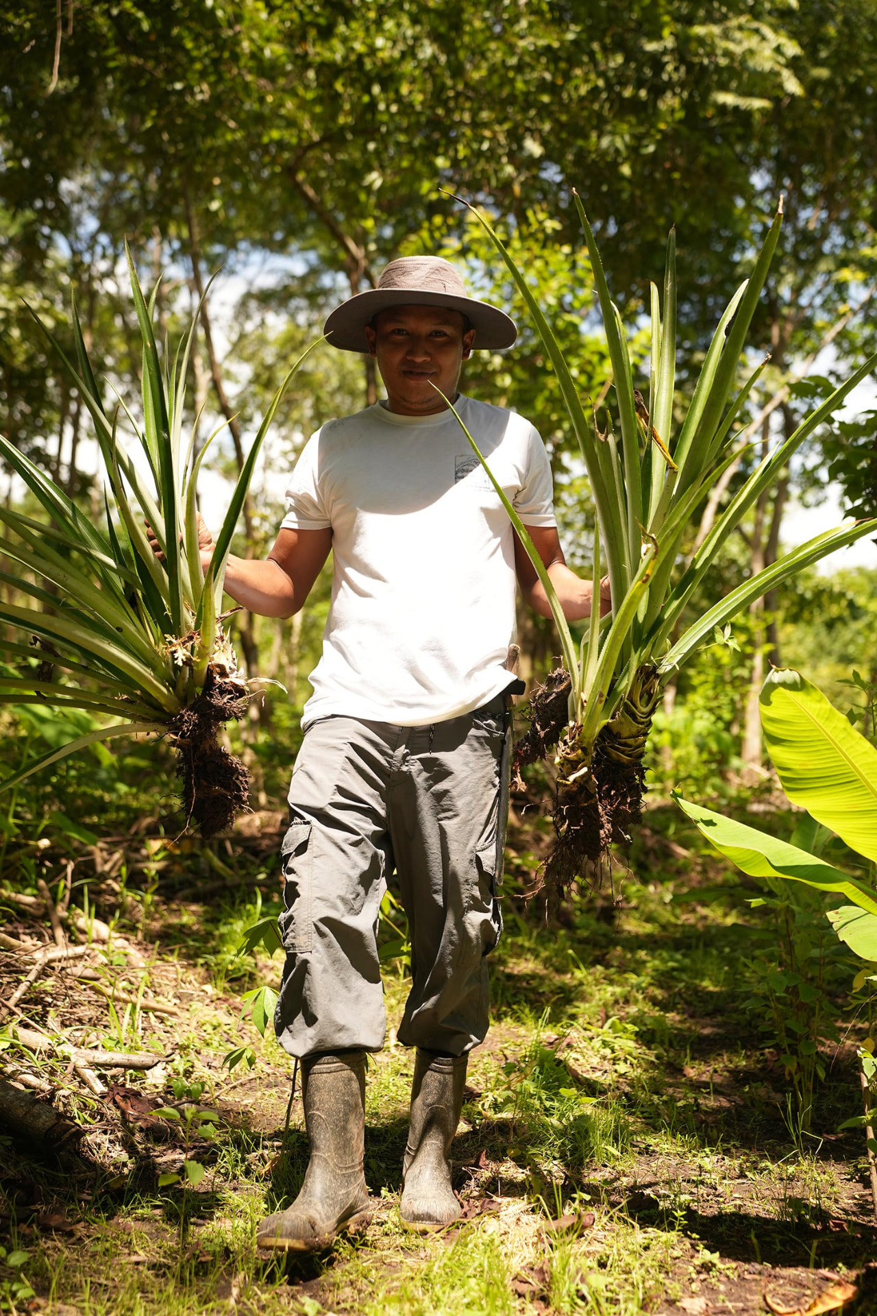 Farm team member holding young plants at Finca La Esperanza