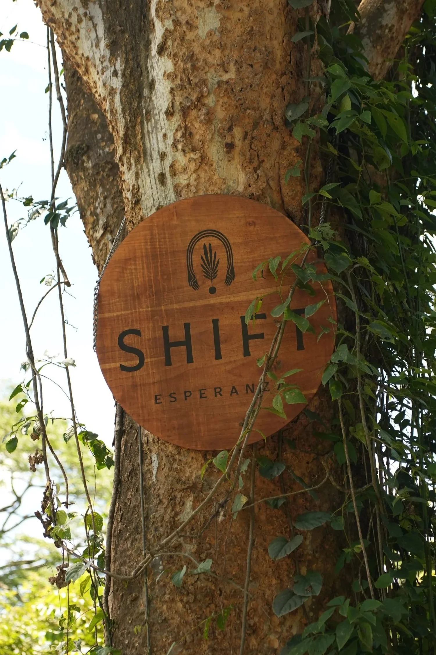 Wooden Shift sign on a tree