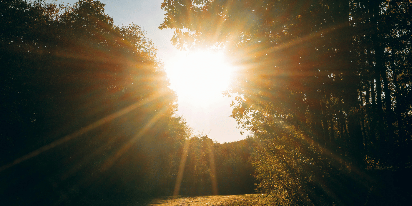 SOLAR & BATTERY BACKUP