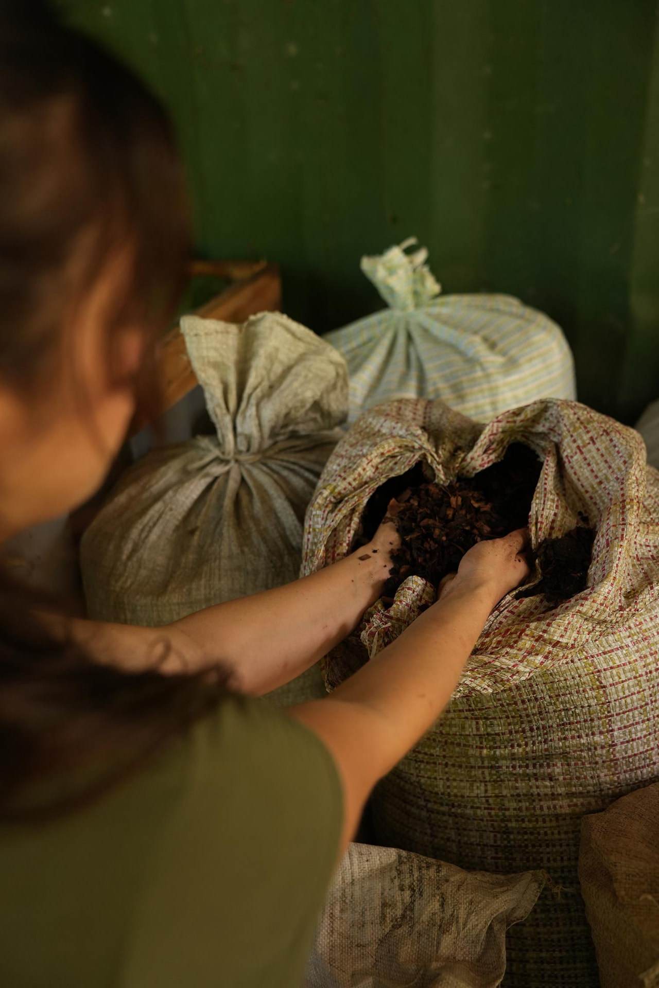 Living soil and regenerative practices at the farm
