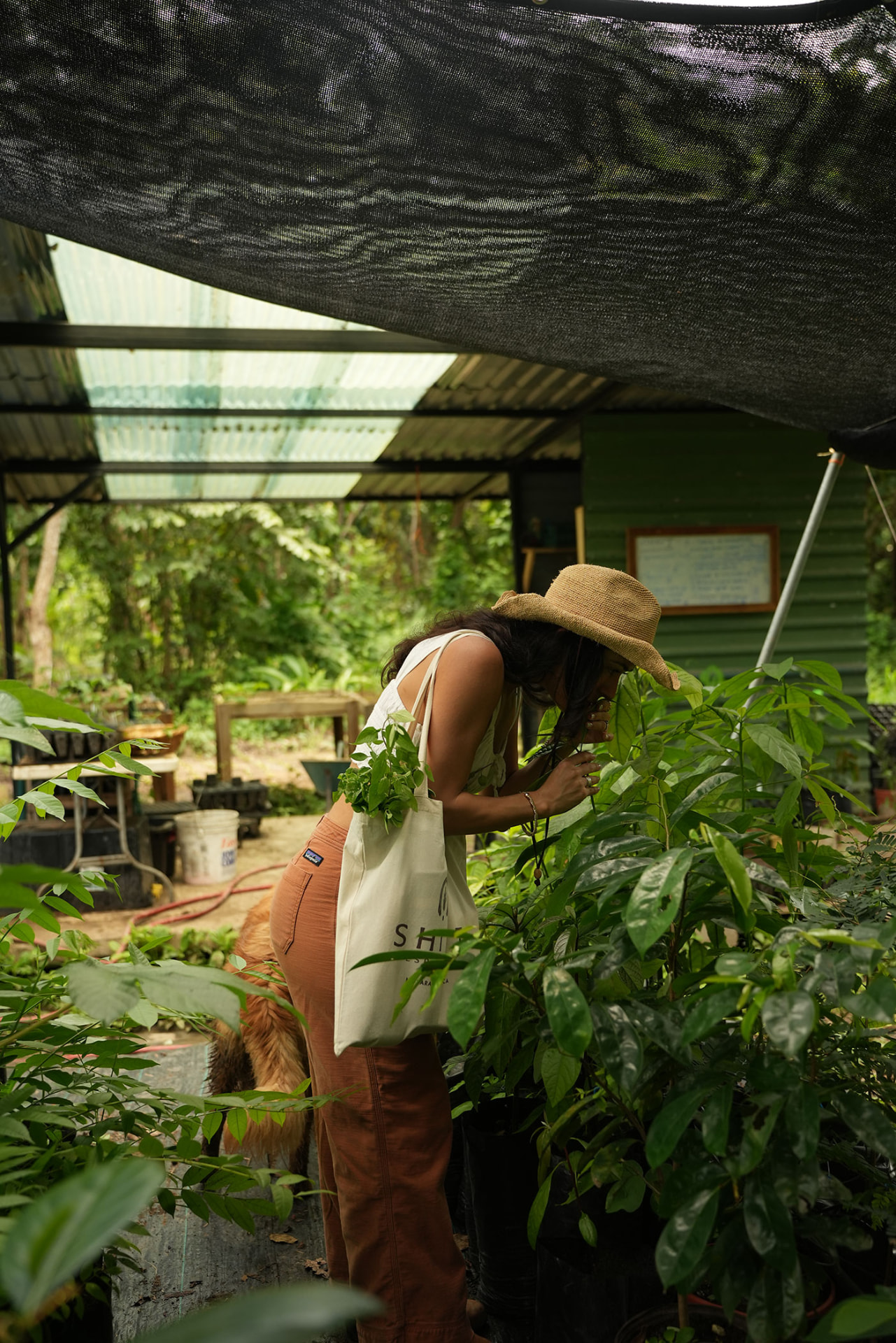 Working systems at the farm headquarters