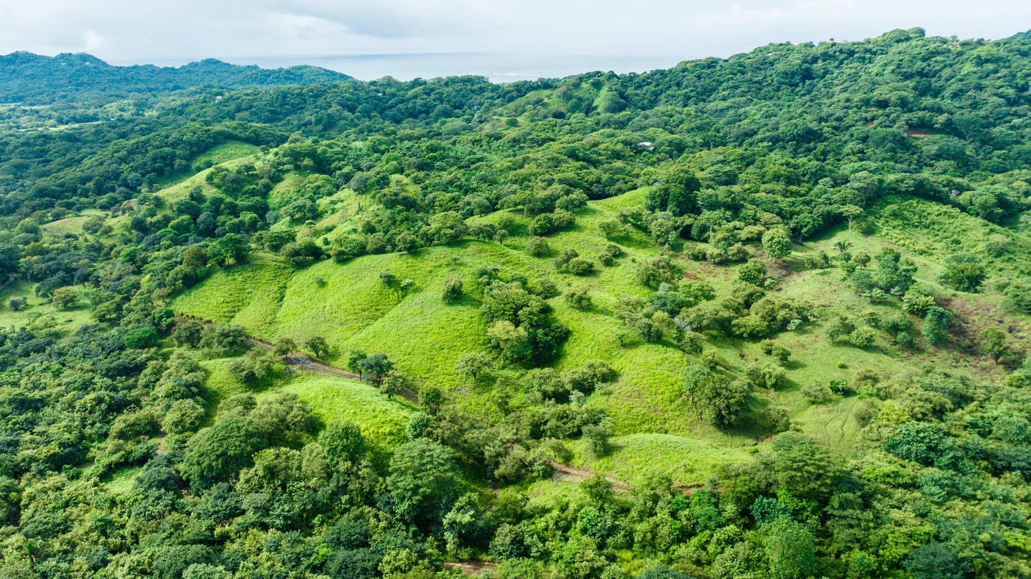 Permaculture architecture at Shift Esperanza