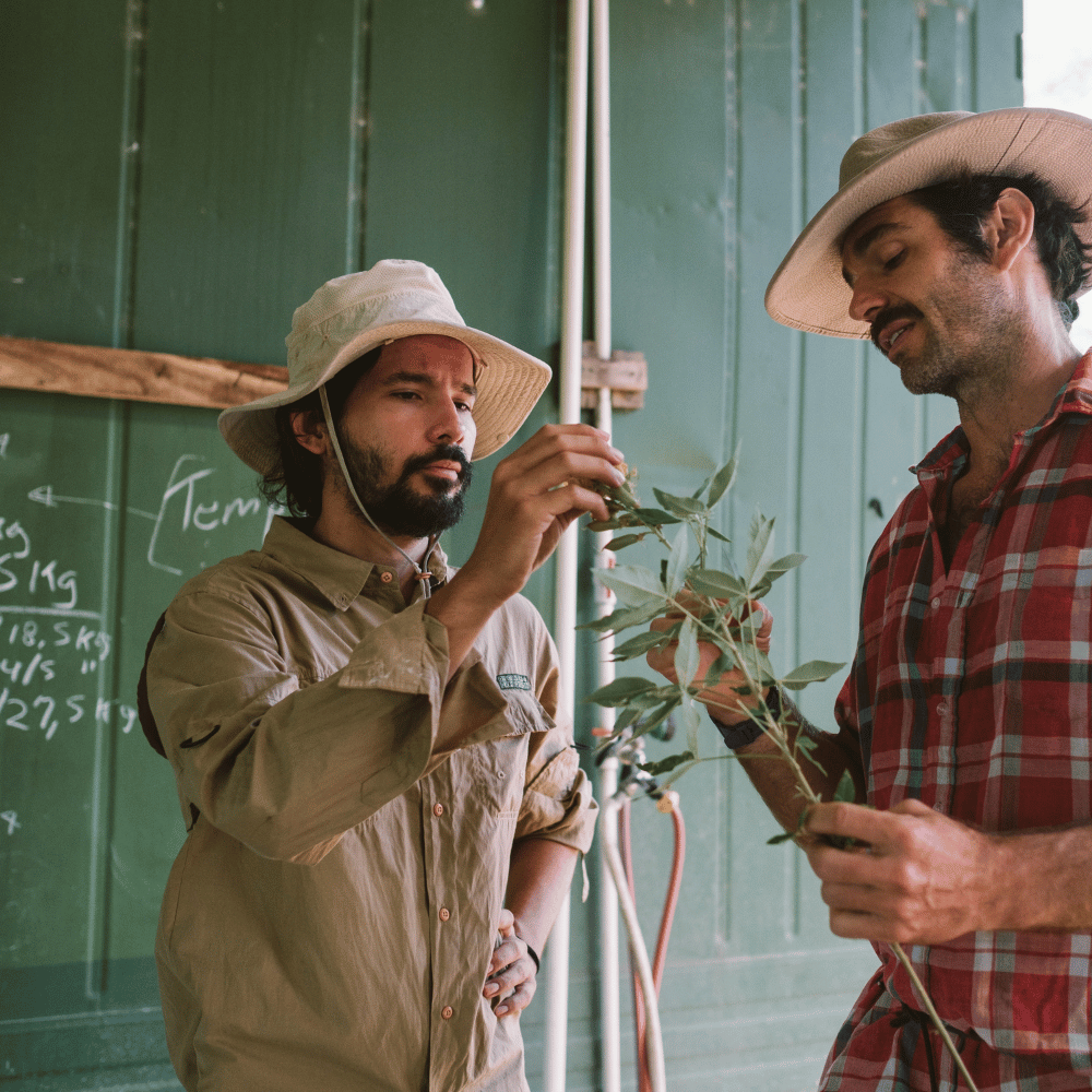Farm caretakers examining a plant together