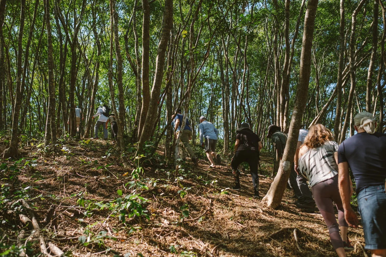 Personas disfrutando de la naturaleza en Shift Esperanza
