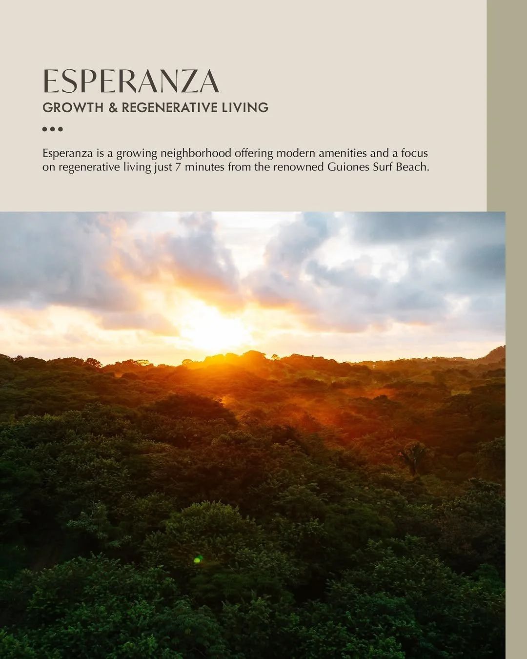 Homes and jungle in the Esperanza neighborhood of Nosara